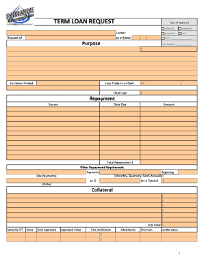 Term Loan Request Form