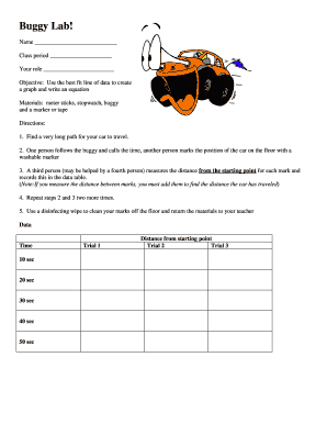 Buggy Lab Worksheet
