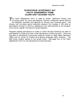 Workforce Investment Act Youth Assessment Form