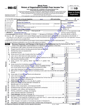 Form 990-EZ 2010