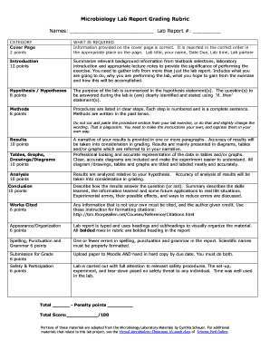 Biology Lab Report Grading Rubric - Science Prof Online