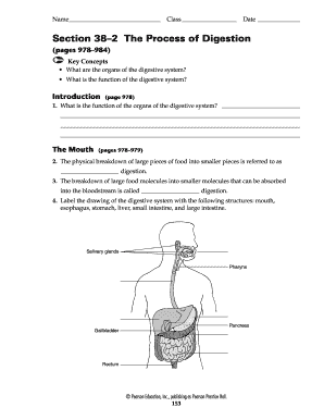 Name Class Date Section 382 The Process of Digestion (pages 978984) Key Concepts What are the organs of the digestive system