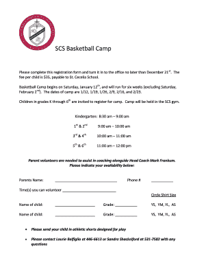 Fillable Online opwdd ny Post Fall Review Checklist Fax Email Print ...