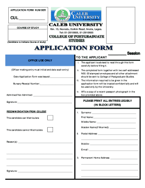 Form preview picture