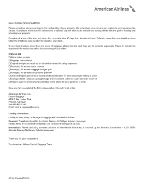 American Airlines Passenger Property Questionnaire