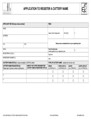 Form preview picture