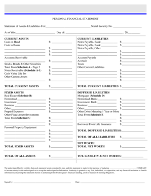 Personal Financial Statement Form