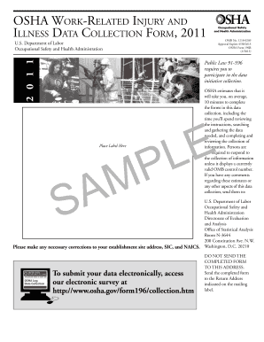 OSHA Form 196B Work-Related Injury and Illness Data Collection
