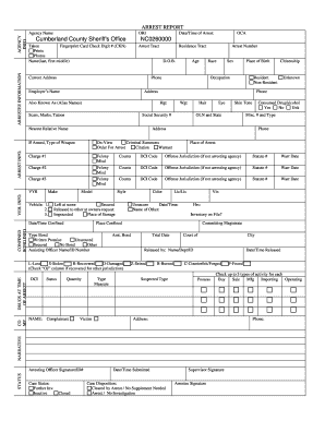 Form preview picture