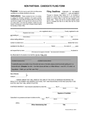 Non-Partisan Candidate Filing Form