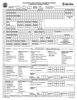 Form preview picture