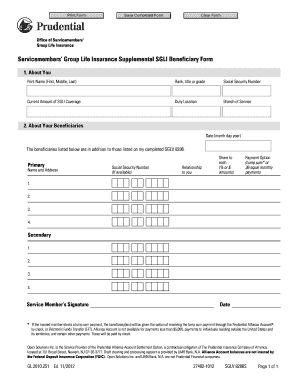 Form preview picture