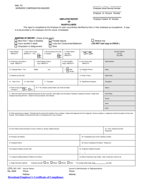 Workers' Compensation Injury Report