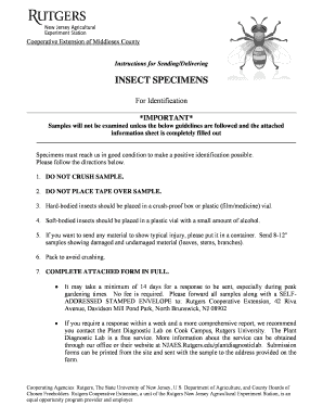 Insect Identification Form