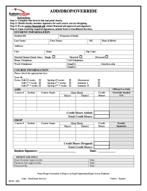 Form preview picture