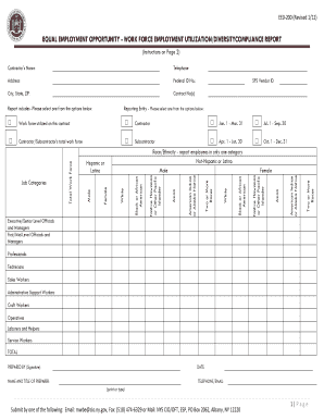 EEO-200 Workforce Utilization Report