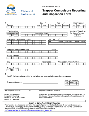 Form preview picture