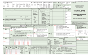Form CE-300