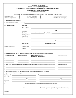 New York Committee Treasurer Designation Form