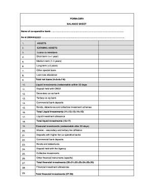 balance sheet for a co operative form