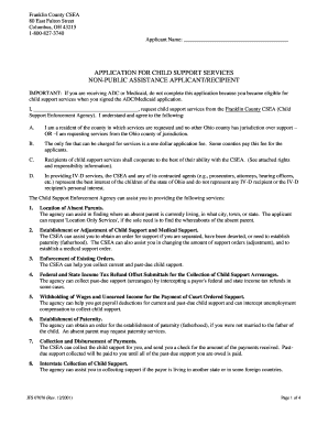 Ohio Child Support Services Application