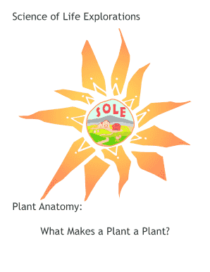 Plant Anatomy Worksheet