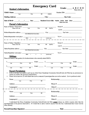 Project implementation plan template excel - Emergency Card Grade A B C D E - bgcseduorg