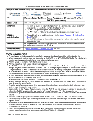 Documentation Guideline: Wound Assessment &amp; Treatment Flow Sheet
