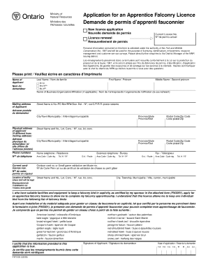 Form preview picture