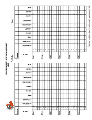 Bank reconciliation formula pdf - PATHF IN DERMER IT SYSTEMSCORESHEETYEAR P a th fin ... - campfit