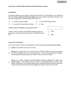 Appendix J-2 Financial Bid template for Demand Resource