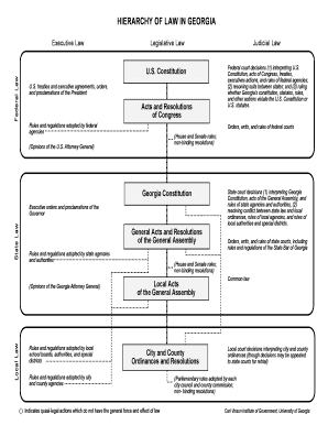 HIERARCHY OF LAW IN GEORGIA