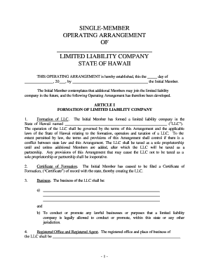 Multi member llc operating agreement template - mhrehensive neuropsychological evaluations llc in brooklyn form