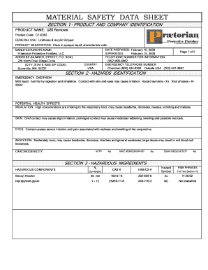 Form preview picture