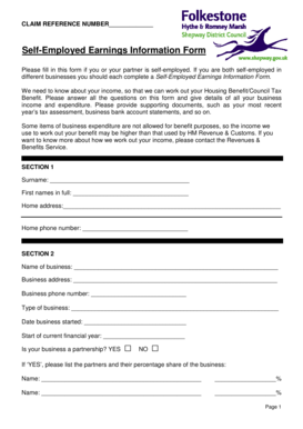 Self-Employed Earnings Information Form