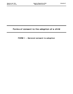 General Consent to Adoption Form