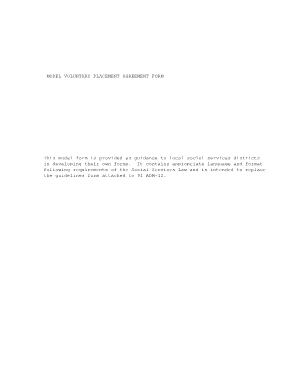 Voluntary Placement Agreement Form