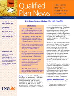 2009 Form 5500 Schedule C Guidance