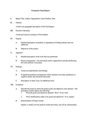 Final Report Template