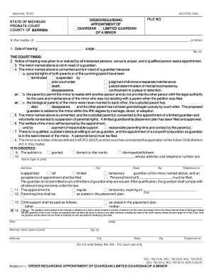 Michigan Guardian Appointment Order