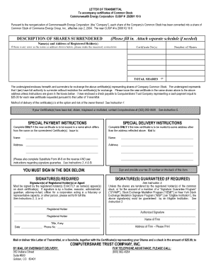 Letter of Transmittal for Common Stock