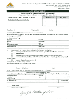 Form preview picture