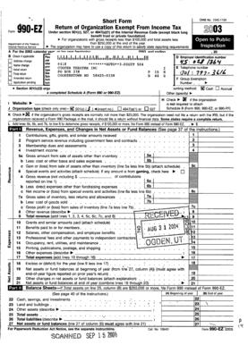 Form 990-EZ 2003