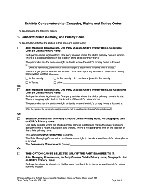 Texas Conservatorship Custody Rights and Duties Order