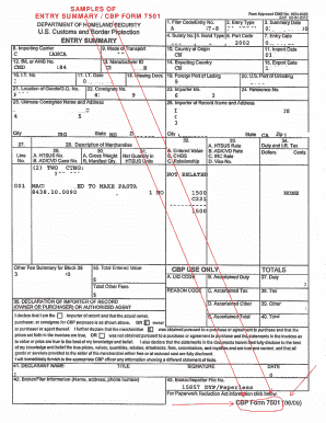 ENTRY SUMMARY / CBP FORM 7501 Fill Online, Printable ...