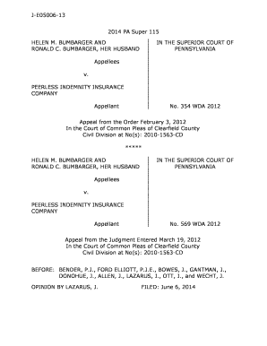 J-E05006-13 2014 PA Super 115 IN THE SUPERIOR COURT OF