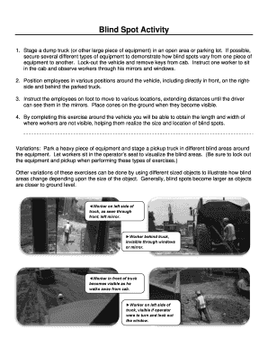 Fillable Online osha Blind Spot Activity - osha Fax Email Print - pdfFiller