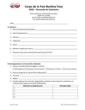 Form preview
