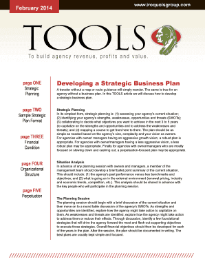 Developing a Strategic Business Plan - The Iroquois Group