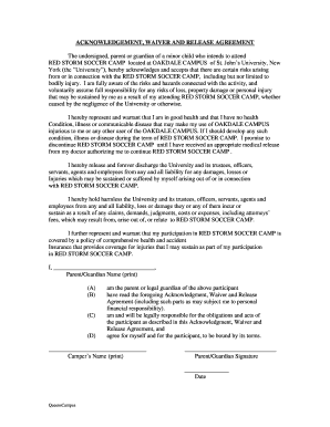 Texas window tint exemption form - Acknowledgement, waiver and release agreement - Dave Masur St ...